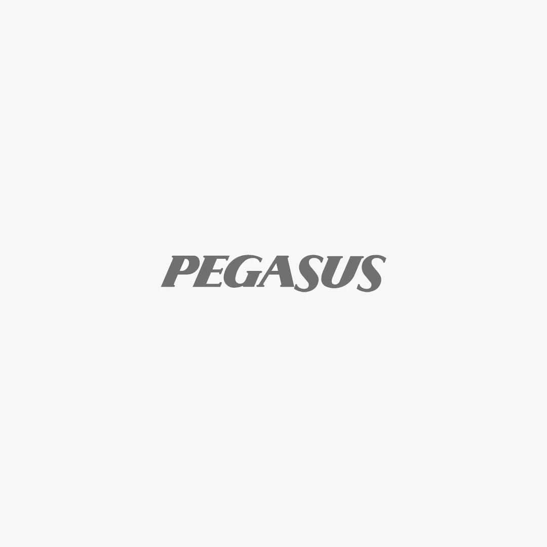 Pegasus Airlines